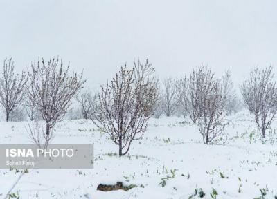 فردا آسمان یزد صاف و نیمه ابری است