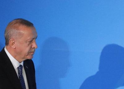 اردوغان خطاب به ماکرون: مرگ مغزی خودت را چک کن!