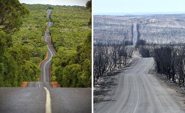 تصاویر قبل و بعد از آتش سوزی در استرالیا
