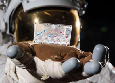آزمایش های علمی بی نظیری که فضانوردان کرو-1 در فضا انجام خواهند داد