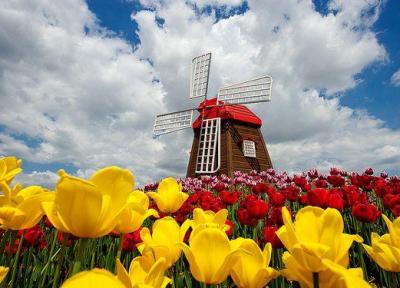 تور ارزان هلند: زیباترین باغ گل دنیا ، باغ گل ککنهوف در هلند