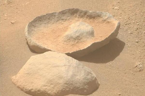 مریخ نورد استقامت یک آووکادو پیدا کرد!