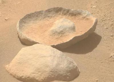 مریخ نورد استقامت یک آووکادو پیدا کرد!